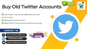 Buy Old Twitter Accounts